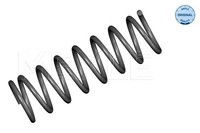 Fahrwerksfeder Hinterachse FÜR Ford Focus I (Daw, Dbw) - Meyle 714 739 0014
