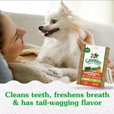 NEW Greenies Pumpkin Spice Dental Care Dog Treats 12 Count for Fresh Breath