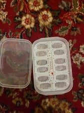  Reptile Egg Incubator Tray Breeding Box Terrarium Terrariums Pet