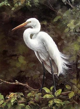 Realism art Oil painting nice animal white bird crane in forest view on canvas