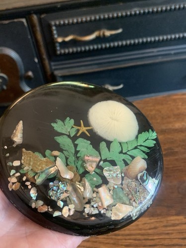 Vintage Unique Designs Trivet Resin Lucite Ocean SeaShells Starfish MCM Footed - Picture 12 of 15