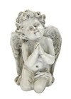 Foto 14 di 47