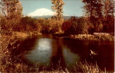 MOUNT ADAMS, Southern Washington, Cascade cones, Columbia River. Postcard