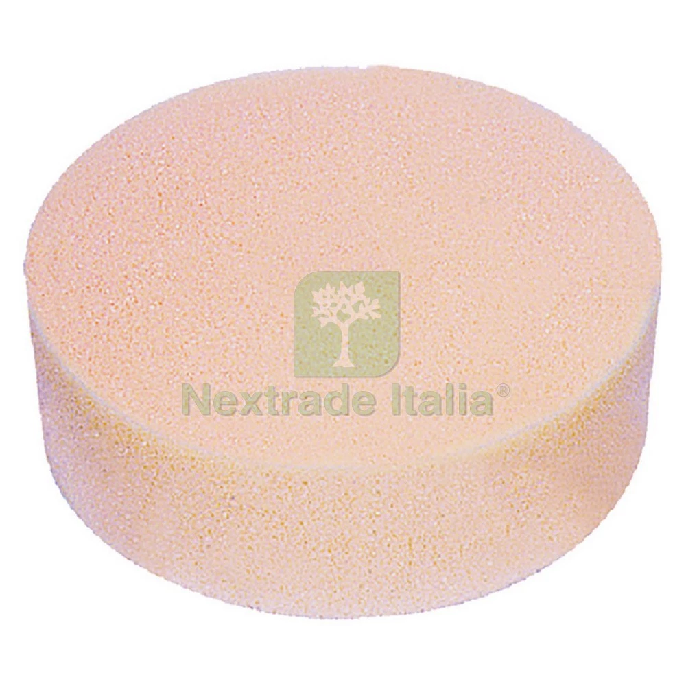 Set Di Spugne E Dischi Per Lucidatura Auto Con Adattatore M14 Per Trapano, 5 Pezzi