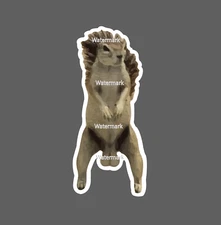 Squirrel Sticker Nuts Funny Waterproof Animal Nature Wildlife Gift NEW