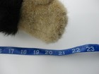 Bild 10 von 12
