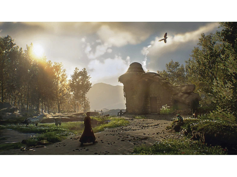 PS4  Hogwarts Legacy Deluxe Edition (DESPRECINTADO) - Imagen 4 de 4