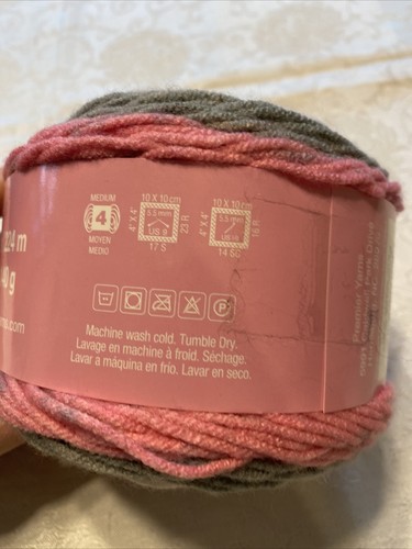 NEW Wheel Skein Of Premier Yarns Sweet Roll 100% Acrylic Yarn - Bubble Pop - Picture 6 of 7