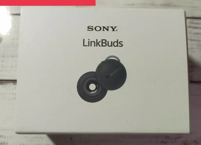 Sony LinkBuds WF-L900-HM True Wireless Earbuds Gray New