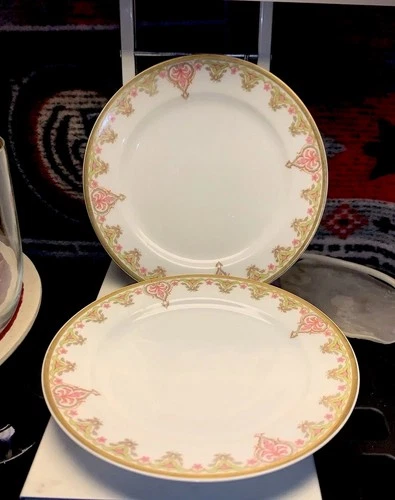 2 Haviland France Limoges Cowell & Hubbard Plates