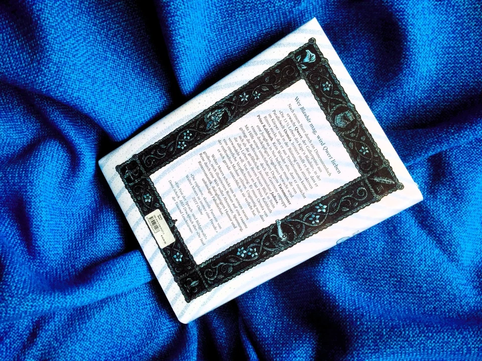 Qwert von Walter Moers - Das neue Buch aus Zamonien - Bild 4 von 4