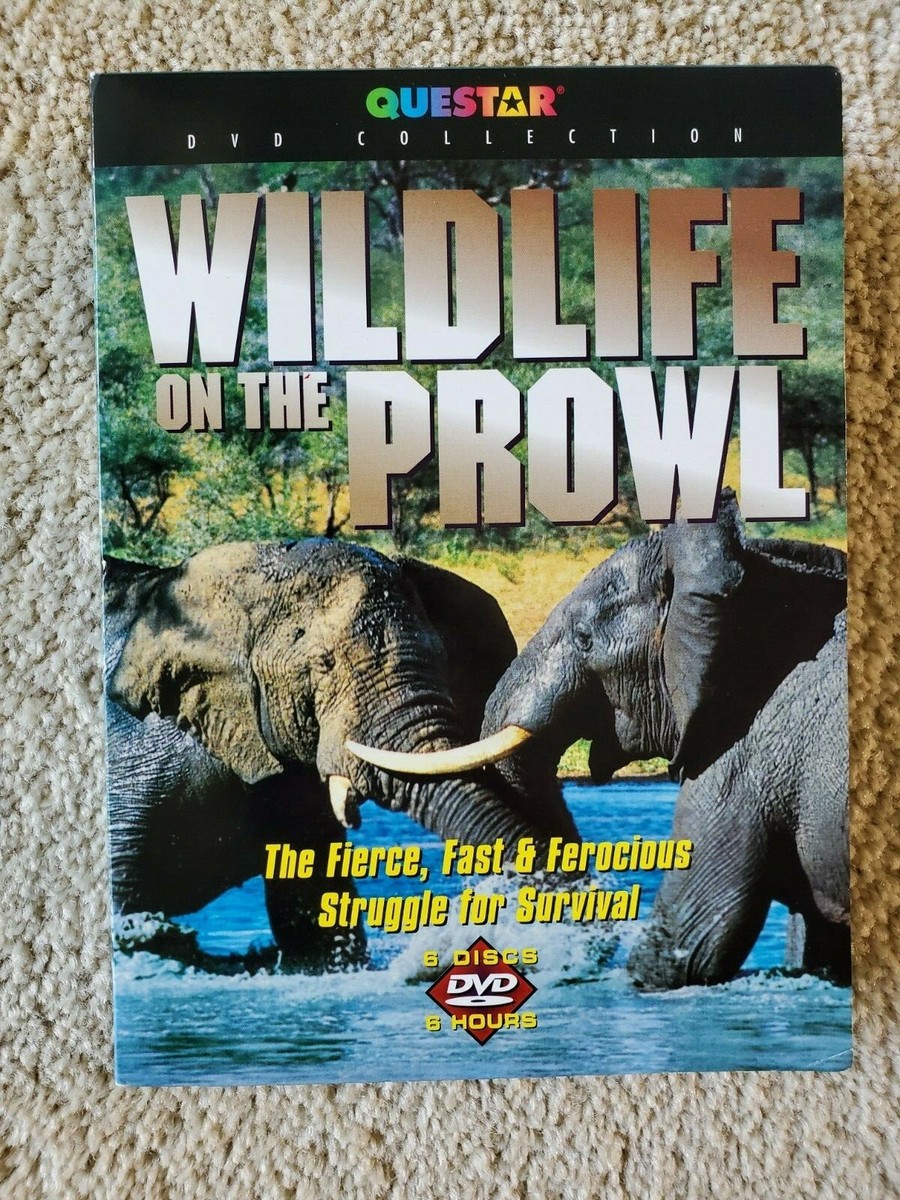 (未使用･未開封品)Wildlife on the Prowl [DVD] Wildlife on Prowl [DVD] 【公式通販】