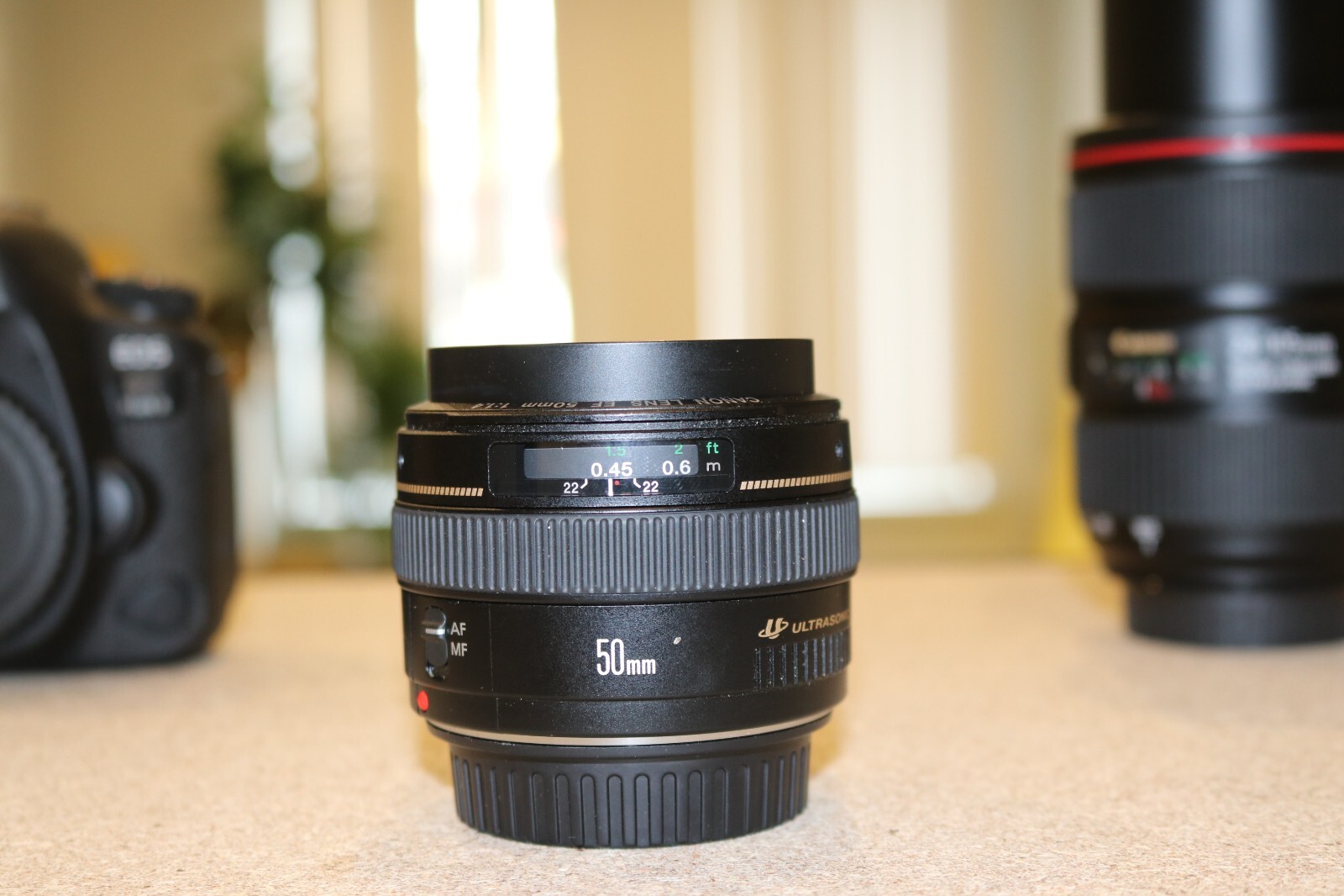 Canon EF 50mm f/1.4 USM Lens for Canon T6 T7 T5 T6i T7i T5i 80D 90D