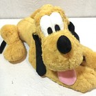 Foto 1 di 5