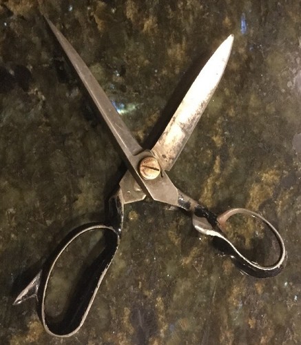 Huge Antique COMPTON U SET 11" Scissor Shears Tailor Dressmaker Newark NJ, USA - Picture 4 of 4