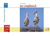 Der Weißstorch | Buch | 9783894328665