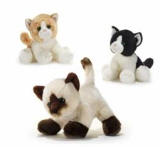 Plush & Company 15811 Peluche Gatti Birboni Supersoft L.26CM 3Colori a scelta 