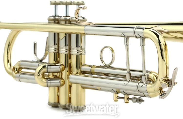 Trompeta Bach 19043 Stradivarius Profesional Bb - Laca Transparente Foto 2 de 4