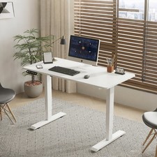 55 In Electric Standing Desk Height Adjustable Home Office Computer Table White