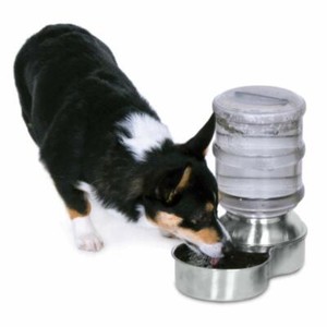 stainless steel water dispenser dog