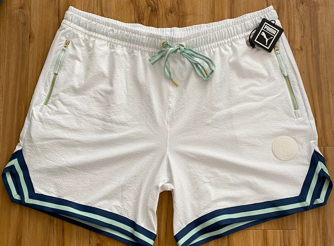 Puma shorts hotsell 3xl