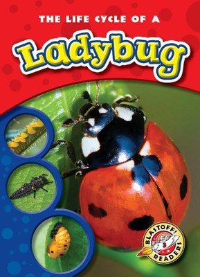 The Life Cycle of a Ladybug (Life Cycles: Blastoff! Readers Level 3)
