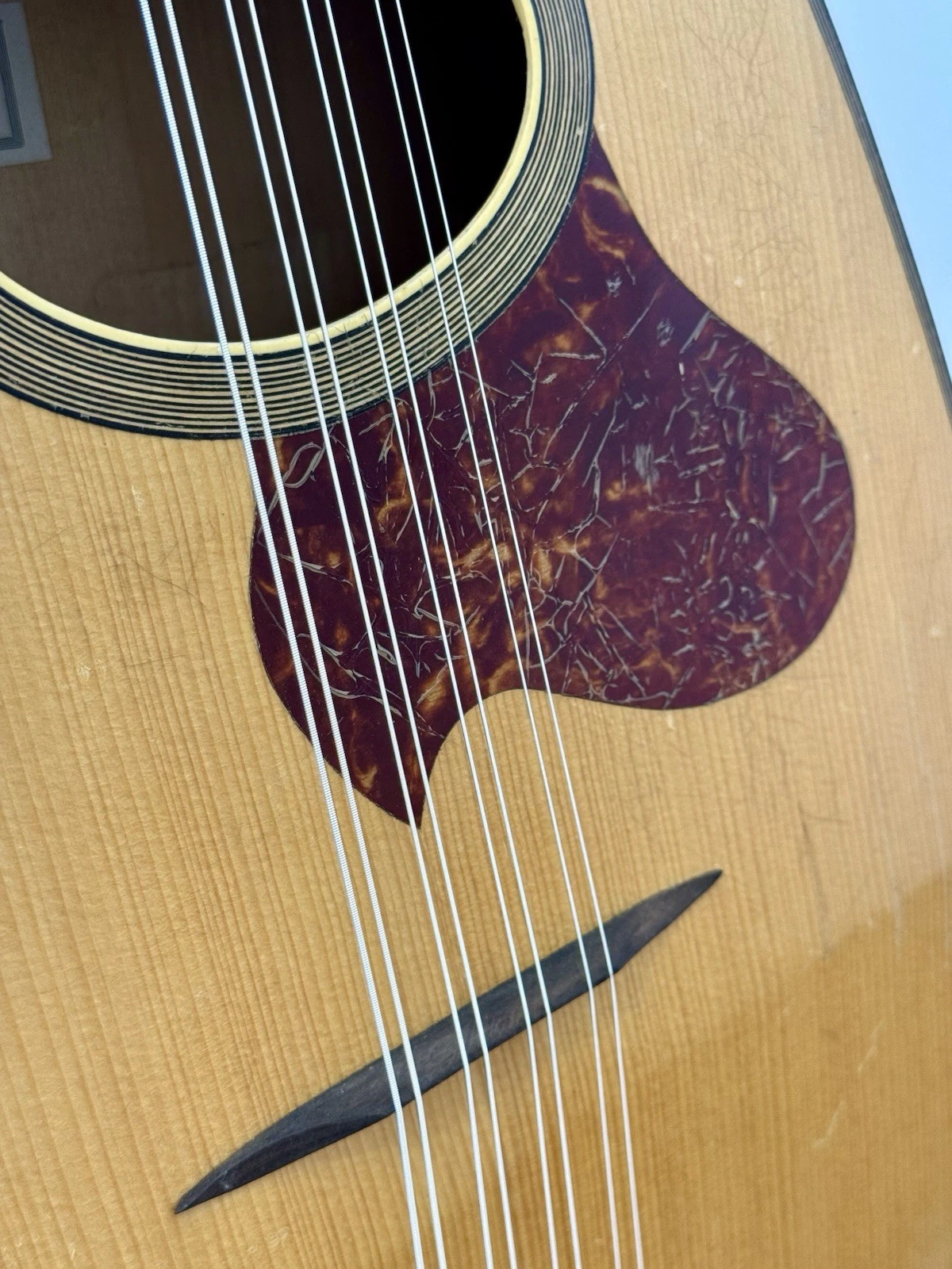 Picture 6 of 23