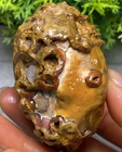 Natural Miraculous Gobi Jade Agate Weathering Stone Collection Specimens