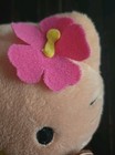 Bild 7 von 8
