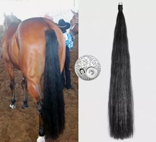 DOBLE Cola Falsa NATURALEZA NEGRA Genuina OZ 80CM 32"" Cola de Caballo Falsa EXTENDIDA - Imagen 1 de 5
