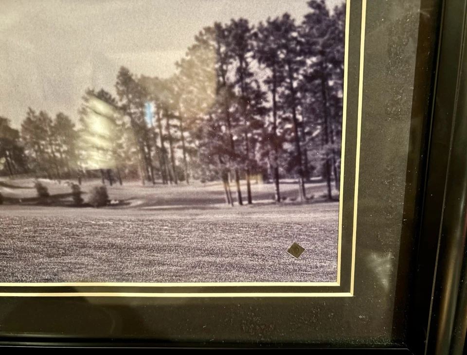 Foto auténtica enmarcada Tiger Woods 12x30 panorámica dulce columpio cubierta superior RARA Foto 4 de 4