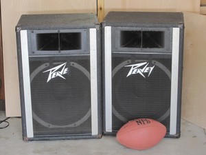 peavey stage speakers