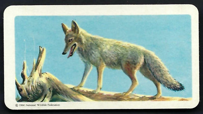 BROOKE BOND (CANADA) - ANIMALS OF NORTH AMERICA (ROLLAND) - #10 COYOTE