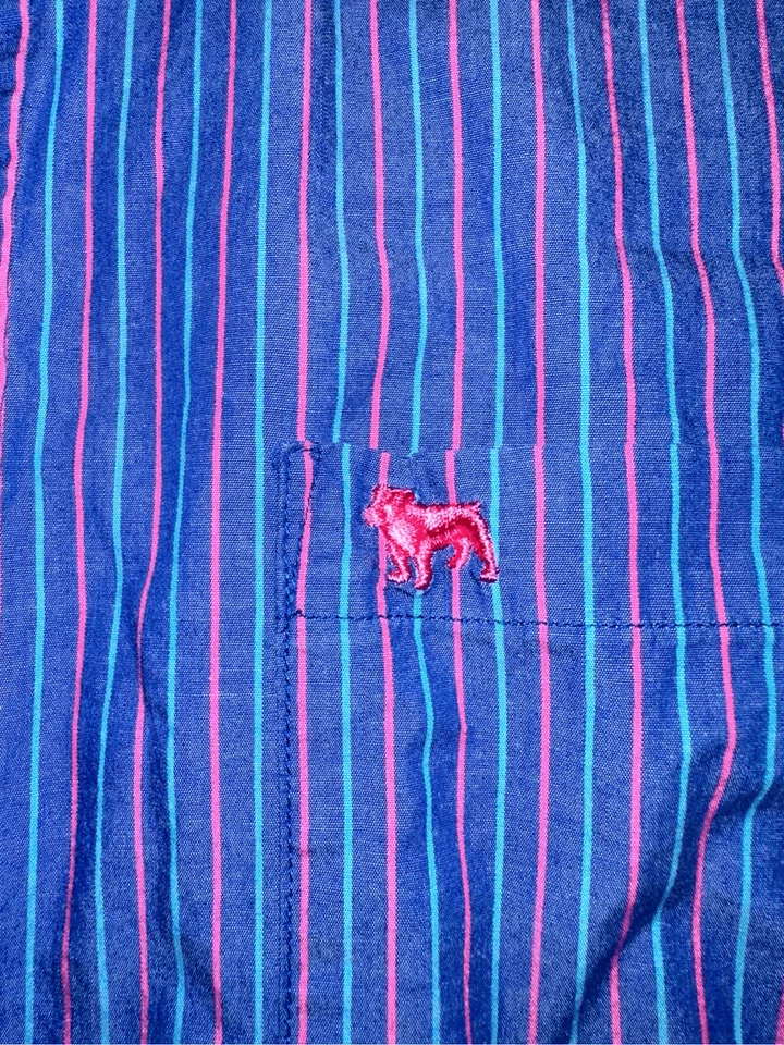 Camisa Aeropostale Para Hombre L Abotonada Azul Rosa Rayas Manga Larga Algodón Ajustada Foto 3 de 4