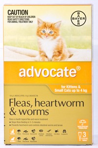 advocate for cats ebay