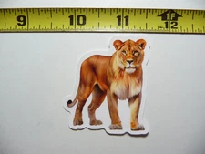 AFRICA LIONESS CAT WATCHING SMALL STICKER DECAL WILDLIFE PRESERVE NATURE ANIMAL
