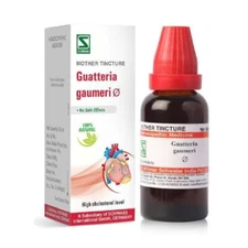 Willmar Schwabe Homeopathy Guatteria Gaumeri Mother Tincture Q (30ml)