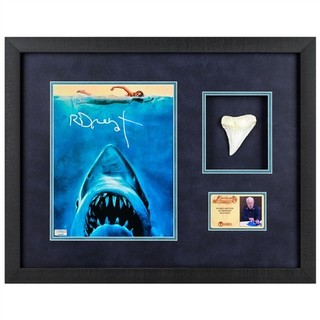 Richard Dreyfuss Autographed Jaws 8x10 Photo with Shark Tooth Display