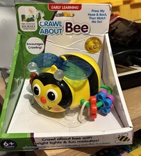 The Learning Journey Crawl About Bee Activity...