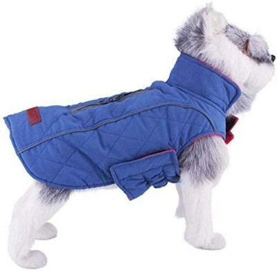 amazon uk dog coats
