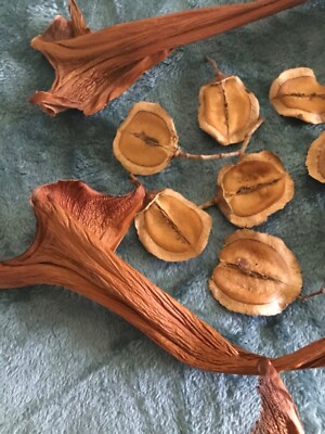 Make Baskets Gourds Dried Decor