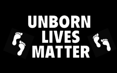 Unborn Lives Matter Pro Life Metal Anti Abortion 2.5x4 Fridge magnet 8609
