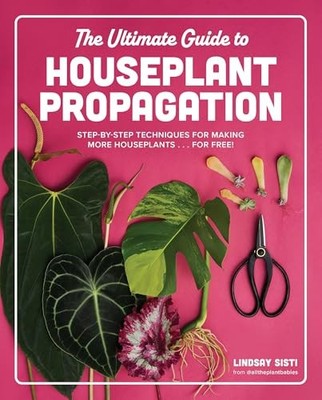 The Ultimate Guide to Houseplant Propagation: Step-By-Step Techniques for Making