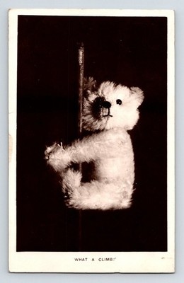 Kinder: Teddybär. ''Was für ein Aufstieg!''. Posted 1916.