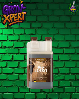 CANNA Bio Boost Blütestimulator Dünger Konzentrat - 1L