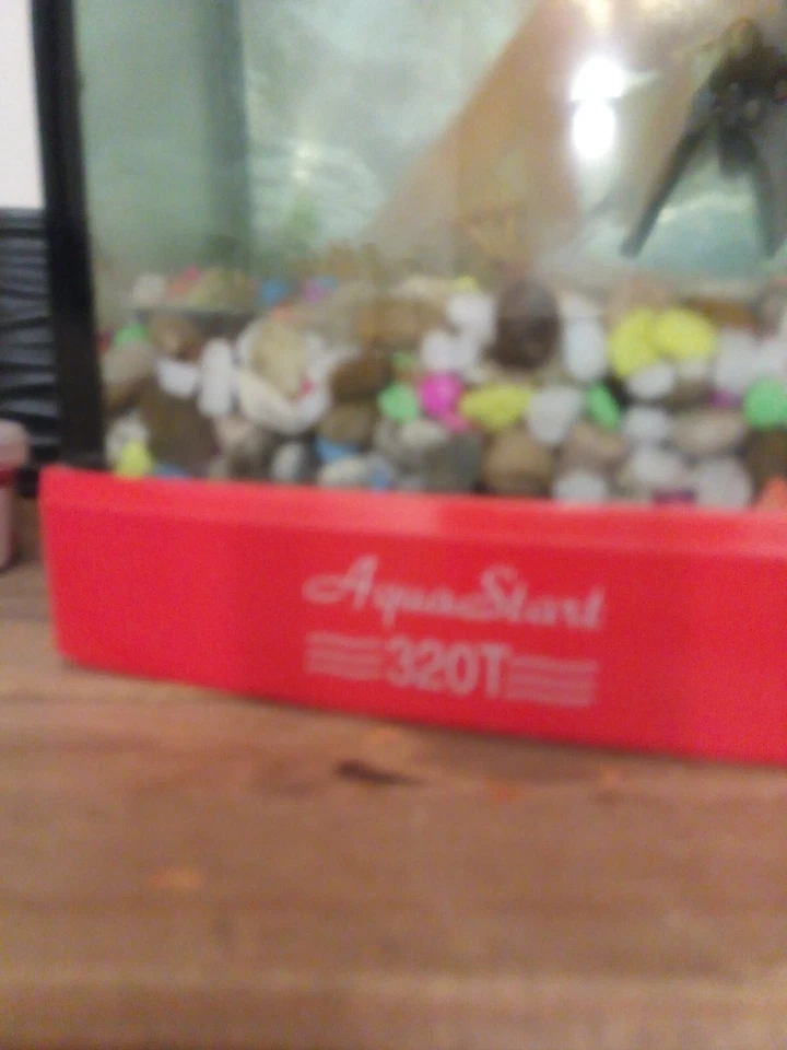 starter fish tank - Image 3 of 3