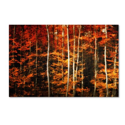 ''Still Painting'' Artwork by Philippe Sainte-Laudy, 22 by 32-Inch