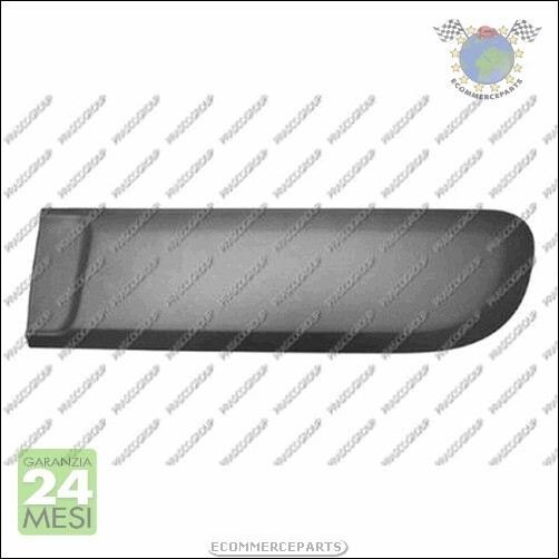 Modanatura Porta Sx Fiat Panda Prasco | Ricambi Carrozzeria Certificati