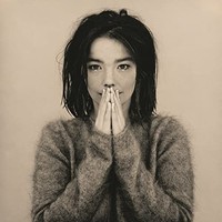 Bjork - Debut - Cd - E1111Z