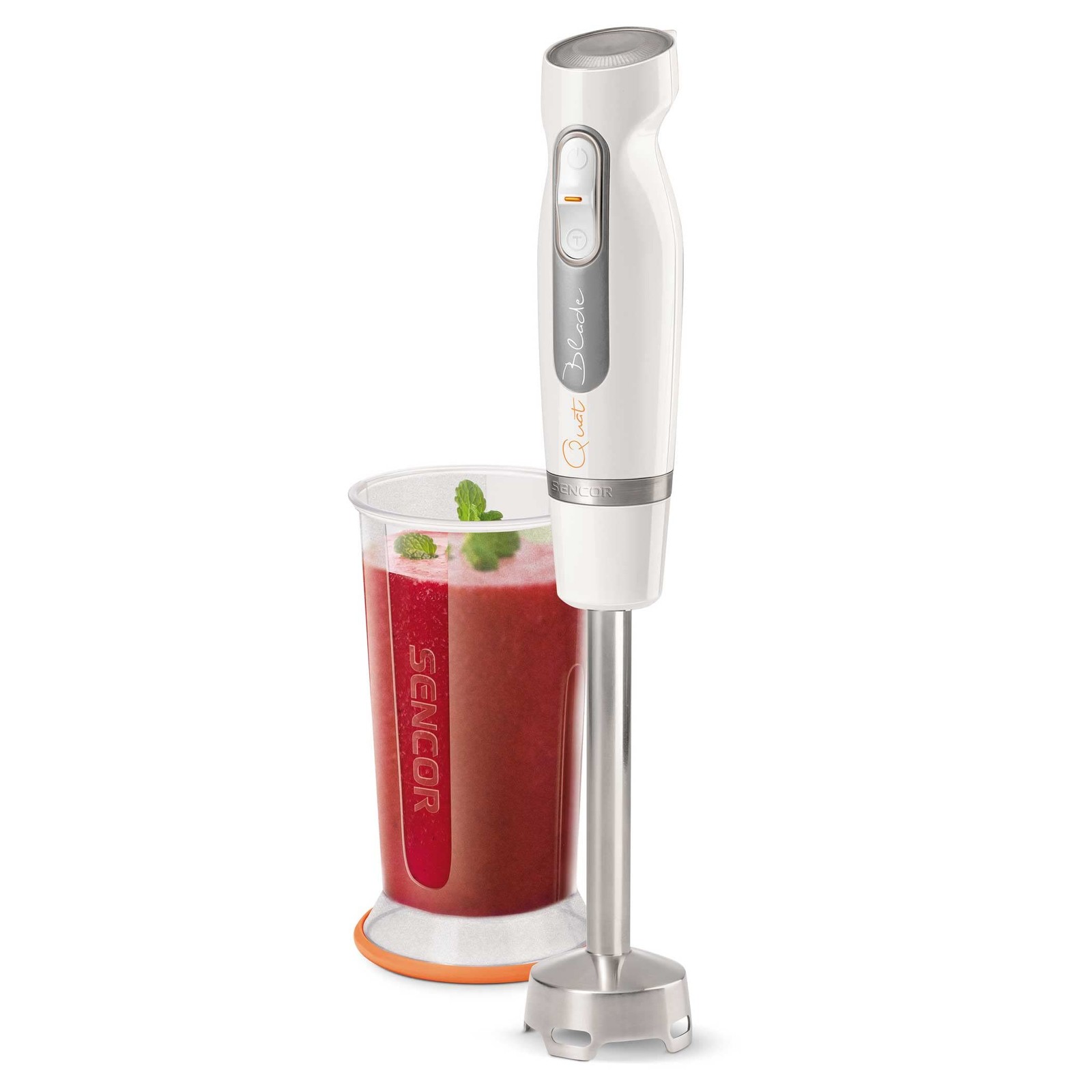 Mixeur plongeant 600W multifonctions à vitesse variable en inox